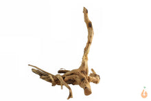 Lade das Bild in den Galerie-Viewer, Moorwurzel Nr.135 | 17x15x13cm (BxHxT)