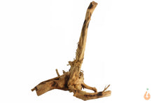 Lade das Bild in den Galerie-Viewer, Moorwurzel Nr.135 | 17x15x13cm (BxHxT)