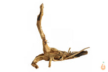 Lade das Bild in den Galerie-Viewer, Moorwurzel Nr.135 | 17x15x13cm (BxHxT)