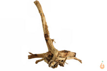 Lade das Bild in den Galerie-Viewer, Moorwurzel Nr.135 | 17x15x13cm (BxHxT)