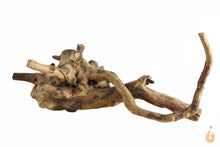 Lade das Bild in den Galerie-Viewer, Spiderwood Nr.136 | 18x8x18cm (BxHxT)