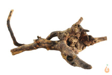 Lade das Bild in den Galerie-Viewer, Spiderwood Nr.136 | 18x8x18cm (BxHxT)