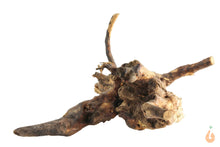 Lade das Bild in den Galerie-Viewer, Spiderwood Nr.136 | 18x8x18cm (BxHxT)