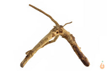 Lade das Bild in den Galerie-Viewer, Moorwurzel Nr.137 | 19x14x13cm (BxHxT)