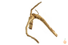 Lade das Bild in den Galerie-Viewer, Moorwurzel Nr.137 | 19x14x13cm (BxHxT)