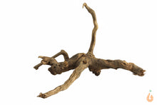 Lade das Bild in den Galerie-Viewer, Spiderwood Nr.138 | 15x10x12cm (BxHxT)