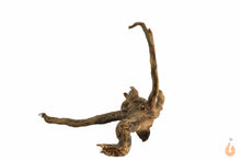 Lade das Bild in den Galerie-Viewer, Spiderwood Nr.138 | 15x10x12cm (BxHxT)