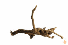 Lade das Bild in den Galerie-Viewer, Spiderwood Nr.138 | 15x10x12cm (BxHxT)