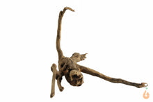 Lade das Bild in den Galerie-Viewer, Spiderwood Nr.138 | 15x10x12cm (BxHxT)