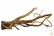 Lade das Bild in den Galerie-Viewer, Spiderwood Nr.139 | 18x7x12cm (BxHxT)