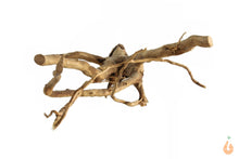 Lade das Bild in den Galerie-Viewer, Spiderwood Nr.139 | 18x7x12cm (BxHxT)