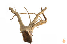 Lade das Bild in den Galerie-Viewer, Spiderwood Nr.139 | 18x7x12cm (BxHxT)