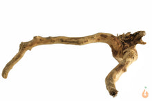 Lade das Bild in den Galerie-Viewer, Moorwurzel Nr.140 | 19x8x16cm (BxHxT)
