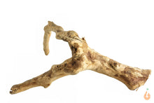 Lade das Bild in den Galerie-Viewer, Moorwurzel Nr.140 | 19x8x16cm (BxHxT)