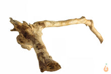 Lade das Bild in den Galerie-Viewer, Moorwurzel Nr.140 | 19x8x16cm (BxHxT)