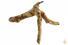 Lade das Bild in den Galerie-Viewer, Moorwurzel Nr.140 | 19x8x16cm (BxHxT)