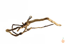 Lade das Bild in den Galerie-Viewer, Spiderwood Nr.141 | 18x5x10cm (BxHxT)