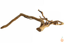 Lade das Bild in den Galerie-Viewer, Spiderwood Nr.141 | 18x5x10cm (BxHxT)