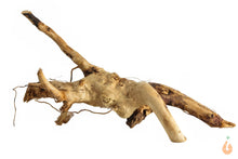 Lade das Bild in den Galerie-Viewer, Moorwurzel Nr.142 | 19x10x9cm (BxHxT)