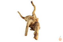 Lade das Bild in den Galerie-Viewer, Moorwurzel Nr.142 | 19x10x9cm (BxHxT)