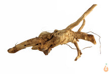 Lade das Bild in den Galerie-Viewer, Moorwurzel Nr.142 | 19x10x9cm (BxHxT)