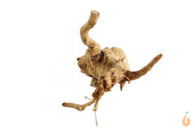 Lade das Bild in den Galerie-Viewer, Moorwurzel Nr.142 | 19x10x9cm (BxHxT)