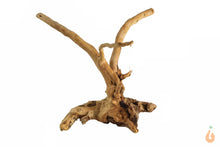 Lade das Bild in den Galerie-Viewer, Spiderwood Nr.143 | 13x12x12cm (BxHxT) (Kopie)