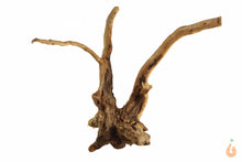 Lade das Bild in den Galerie-Viewer, Spiderwood Nr.143 | 13x12x12cm (BxHxT) (Kopie)