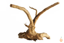 Lade das Bild in den Galerie-Viewer, Spiderwood Nr.143 | 13x12x12cm (BxHxT) (Kopie)