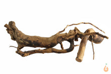 Lade das Bild in den Galerie-Viewer, Moorwurzel Nr.144 | 18x5x14cm (BxHxT)