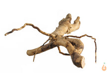 Lade das Bild in den Galerie-Viewer, Moorwurzel Nr.144 | 18x5x14cm (BxHxT)