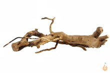 Lade das Bild in den Galerie-Viewer, Moorwurzel Nr.144 | 18x5x14cm (BxHxT)