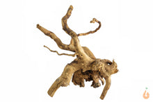 Lade das Bild in den Galerie-Viewer, Spiderwood Nr.145 | 15x14x15cm (BxHxT)