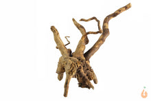 Lade das Bild in den Galerie-Viewer, Spiderwood Nr.145 | 15x14x15cm (BxHxT)