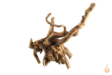 Lade das Bild in den Galerie-Viewer, Spiderwood Nr.145 | 15x14x15cm (BxHxT)