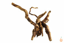 Lade das Bild in den Galerie-Viewer, Spiderwood Nr.145 | 15x14x15cm (BxHxT)