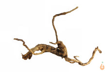 Lade das Bild in den Galerie-Viewer, Spiderwood Nr.146 | 19x11x15cm (BxHxT)