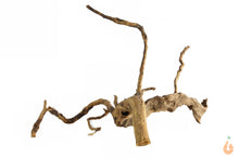 Lade das Bild in den Galerie-Viewer, Spiderwood Nr.146 | 19x11x15cm (BxHxT)