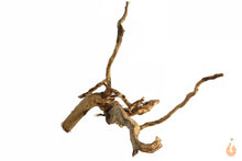 Lade das Bild in den Galerie-Viewer, Spiderwood Nr.146 | 19x11x15cm (BxHxT)