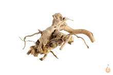 Lade das Bild in den Galerie-Viewer, Moorwurzel Nr.147 | 19x6x12cm (BxHxT)