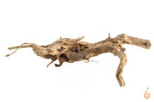 Lade das Bild in den Galerie-Viewer, Moorwurzel Nr.147 | 19x6x12cm (BxHxT)