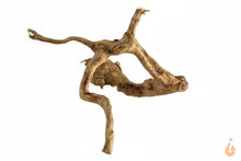 Lade das Bild in den Galerie-Viewer, Moorwurzel Nr.148 | 12x8x17cm (BxHxT)