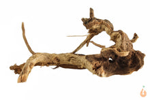 Lade das Bild in den Galerie-Viewer, Moorwurzel Nr.149 | 12x8x17cm (BxHxT)