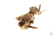Lade das Bild in den Galerie-Viewer, Moorwurzel Nr.149 | 12x8x17cm (BxHxT)