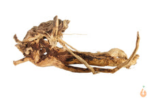 Lade das Bild in den Galerie-Viewer, Moorwurzel Nr.149 | 12x8x17cm (BxHxT)