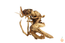 Lade das Bild in den Galerie-Viewer, Moorwurzel Nr.149 | 12x8x17cm (BxHxT)