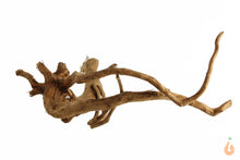 Lade das Bild in den Galerie-Viewer, Spiderwood Nr.150 | 19x6x16cm (BxHxT)