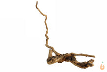 Lade das Bild in den Galerie-Viewer, Moorwurzel Nr.151 | 8x14x17cm (BxHxT)