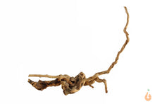Lade das Bild in den Galerie-Viewer, Moorwurzel Nr.151 | 8x14x17cm (BxHxT)