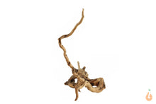 Lade das Bild in den Galerie-Viewer, Moorwurzel Nr.151 | 8x14x17cm (BxHxT)